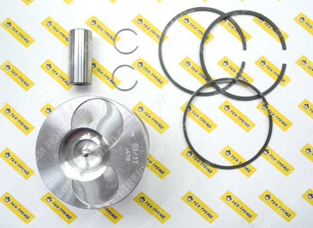 6502.895 Поршень в сборе с кольцами 15LD440 Lombardini (ED0065028950-S)