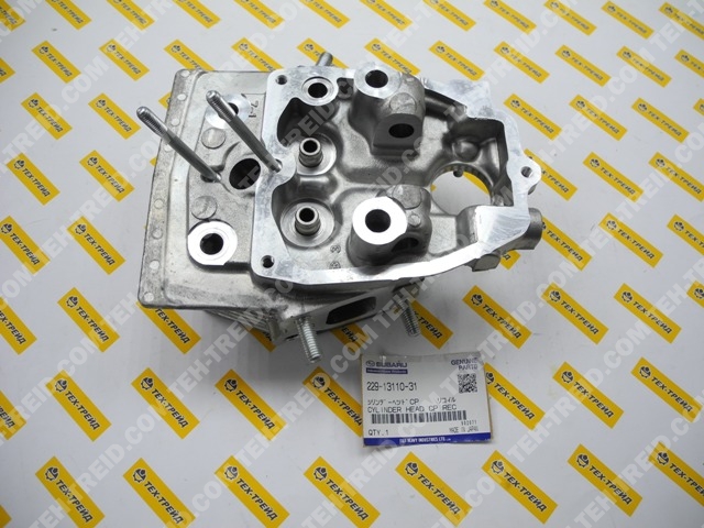 229-13101-31 Головка цилиндра DY41, DY42 (=229-13110-21)
