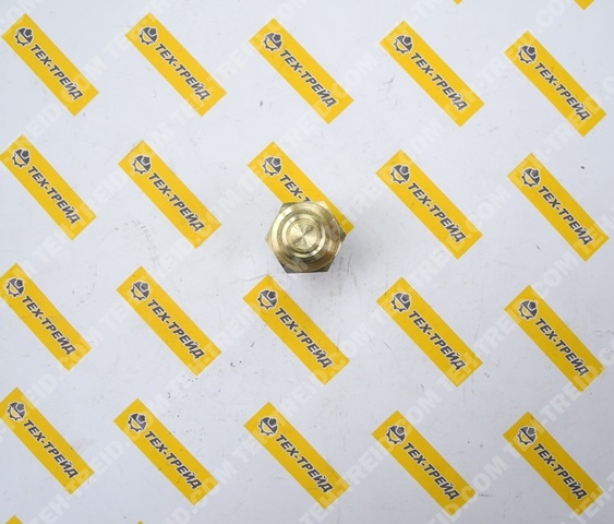 5000160387 Датчик температуры Lombardini KDW1003 (ED0091951080-S)