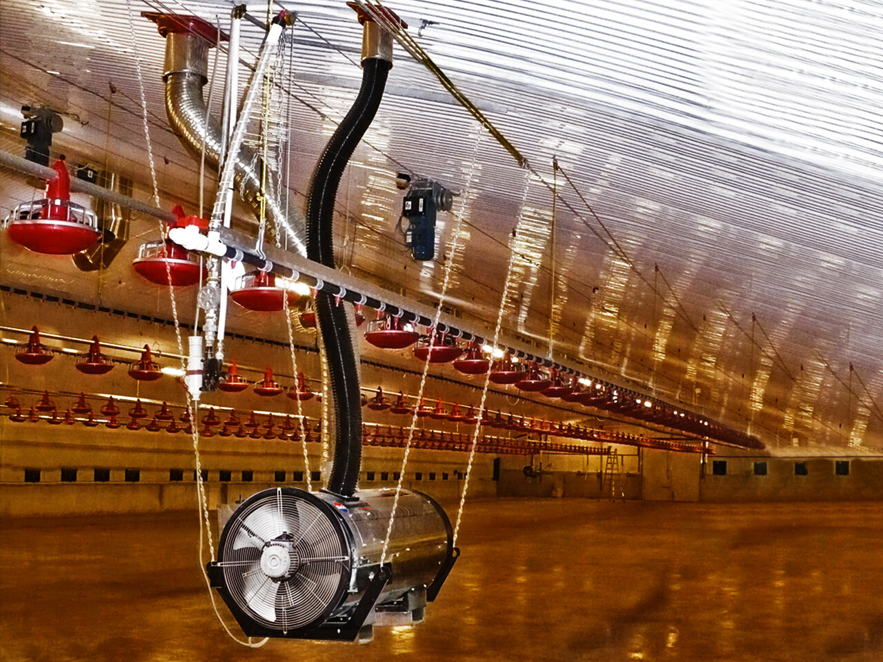 Тепловая пушка Biemmedue BH 50 (ДИЗ)