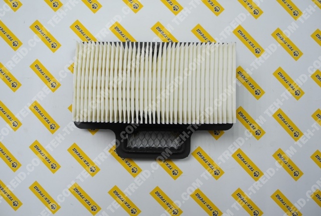 5200003062 Фильтр водушный тонкой очистки BS