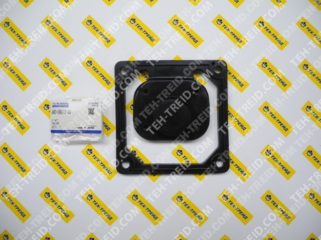 480-08310-24 Обратный клапан PTG307D