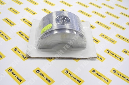 5000220069 Груз эксцентрика DPU