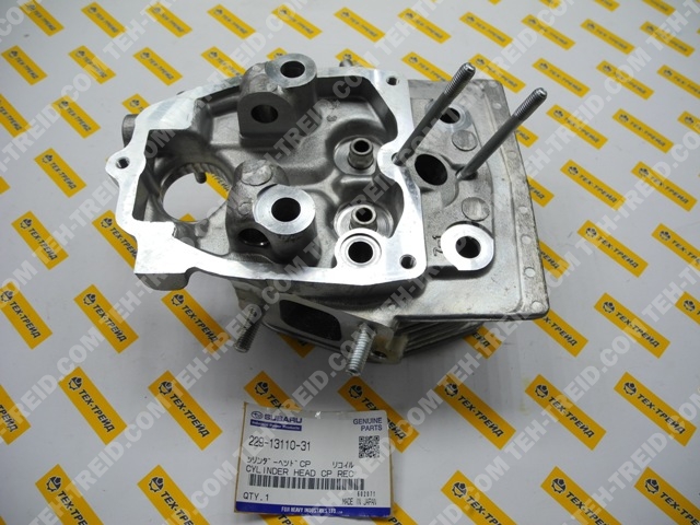 229-13101-31 Головка цилиндра DY41, DY42 (=229-13110-21)
