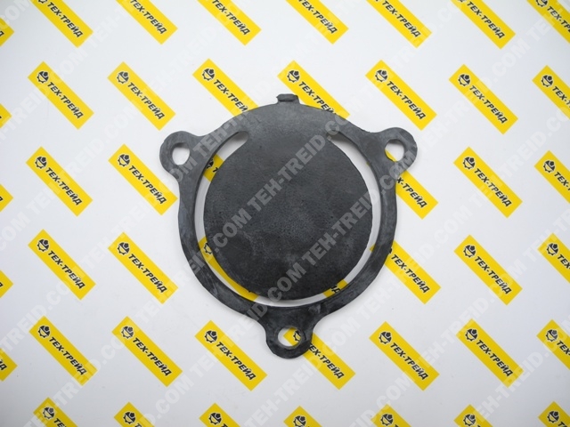 200900290 Обратный клапан SWT-80HX