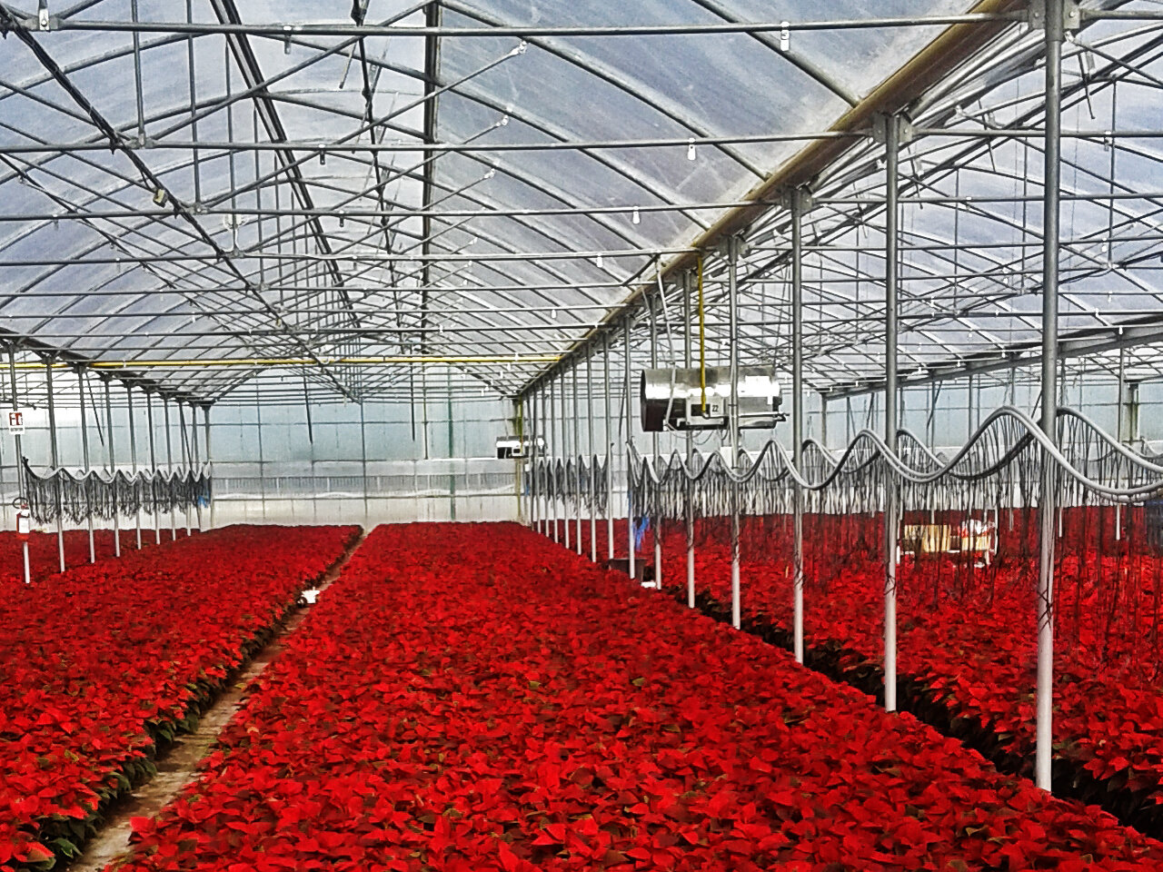 Тепловая пушка Biemmedue GA/N 45 C