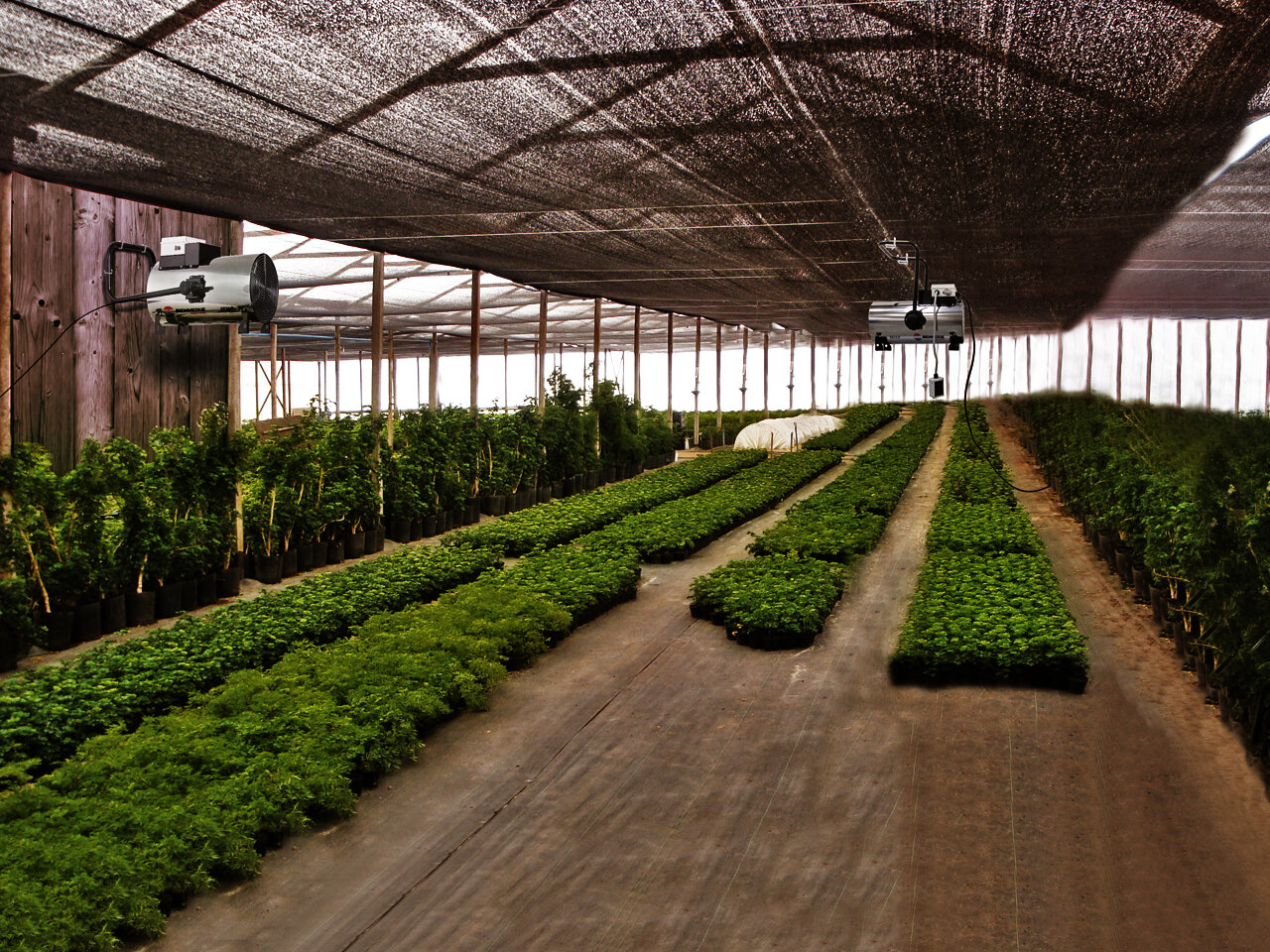 Тепловая пушка Biemmedue EK 15 P