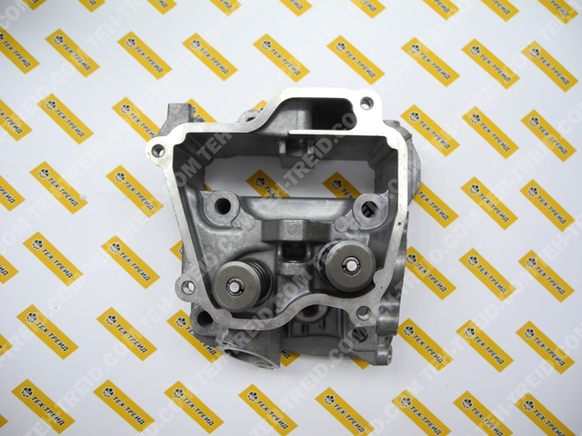 Головка блока цилиндра в сборе EX17 (277-10101-41)