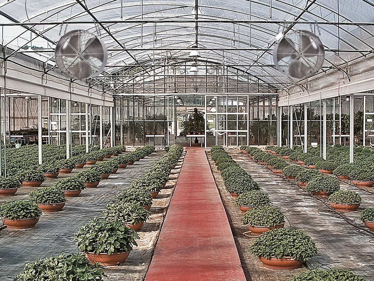 Тепловая пушка Biemmedue FJ 25 T