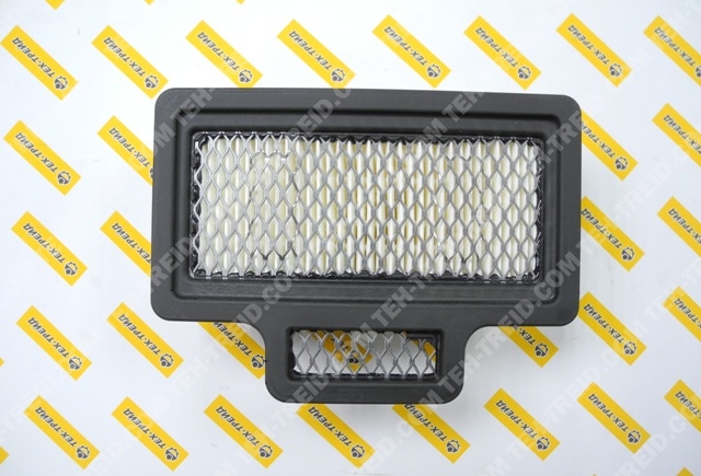 5200003062 Фильтр водушный тонкой очистки BS