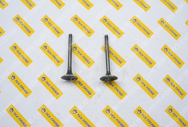 Комплект клапанов (впуск+выпуск) EX17, EX21