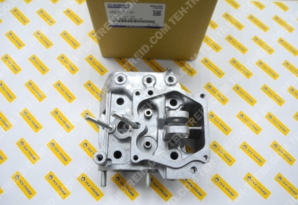 243-13001-81 Головка блока цилиндра DY23, DY27