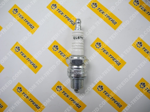 5200006925 Свеча зажигания BS