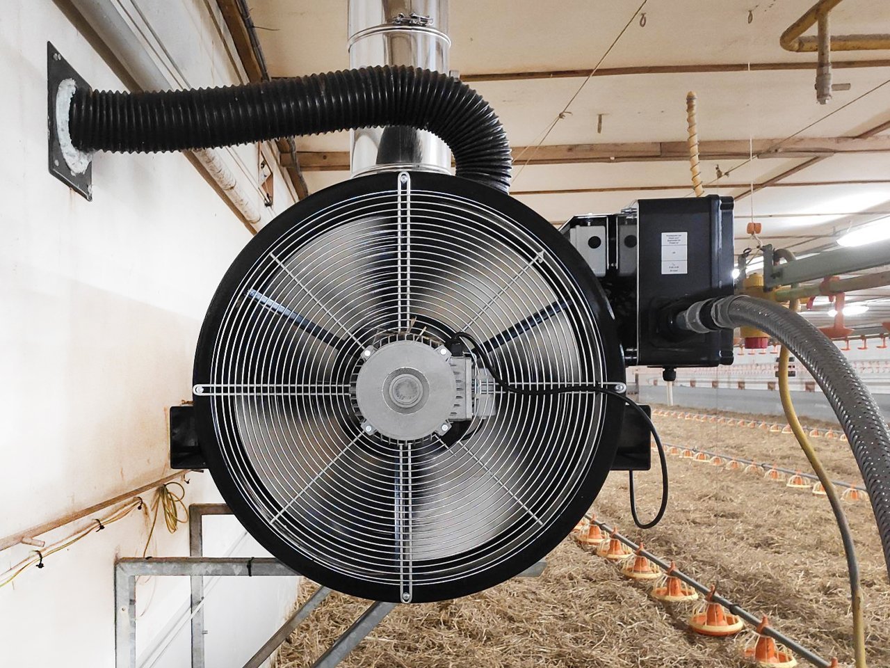 Тепловая пушка Biemmedue BH 50 (ДИЗ)