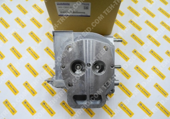 243-13001-81 Головка блока цилиндра DY23, DY27