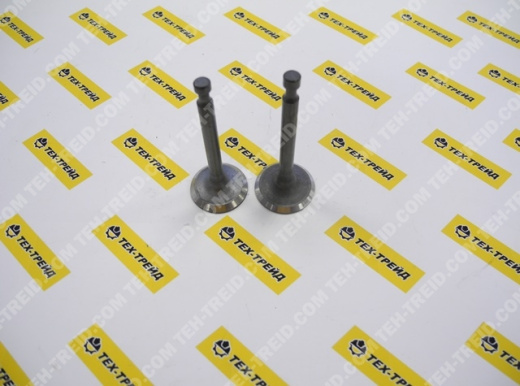 Комплект клапанов GX160, GX200