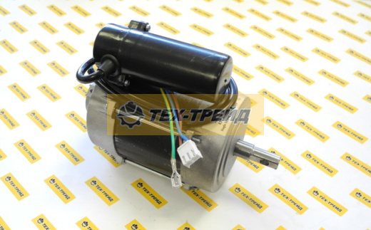 GA003303 Электродвигатель BHDP100 с 2018 г.