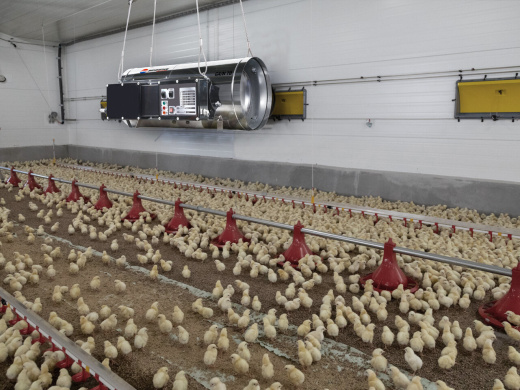 Тепловая пушка Biemmedue GA/N 95 C