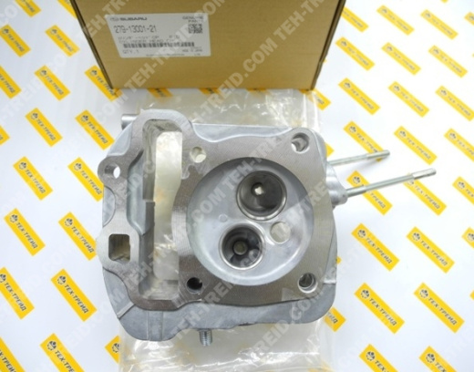 279-13001-21 Головка блока цилиндра EX27