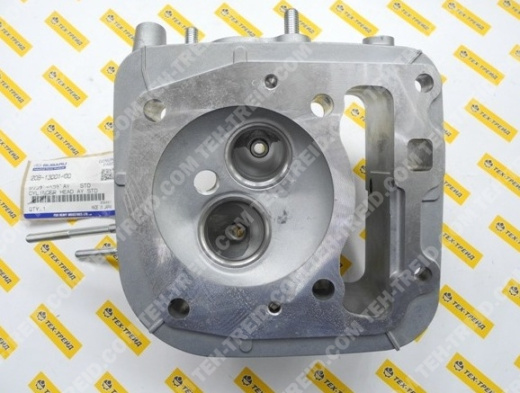 20B-13001-00 Головка блока цилиндра EX35, EX40