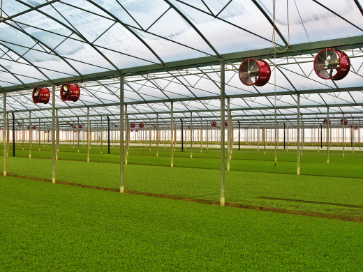 Тепловая пушка Biemmedue FJ 25 T