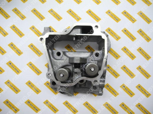 Головка блока цилиндра в сборе EX17 (277-10101-41)