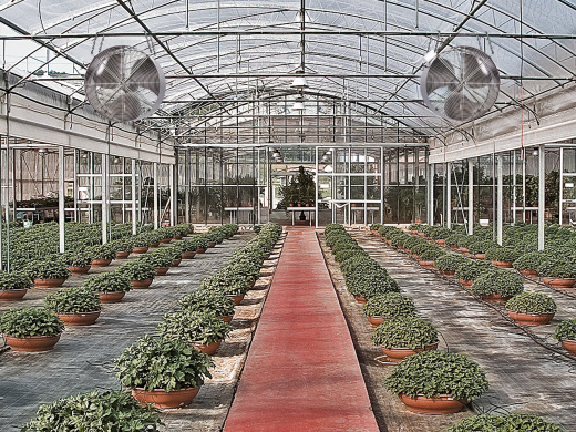 Тепловая пушка Biemmedue FJ 25 T