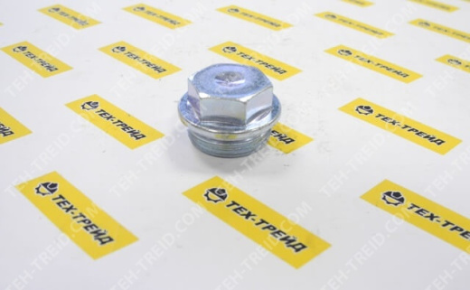 5000024838 Пробка маслозаливной ручки BPU/DPU