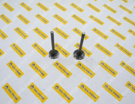 Комплект клапанов (впуск+выпуск) EX17, EX21