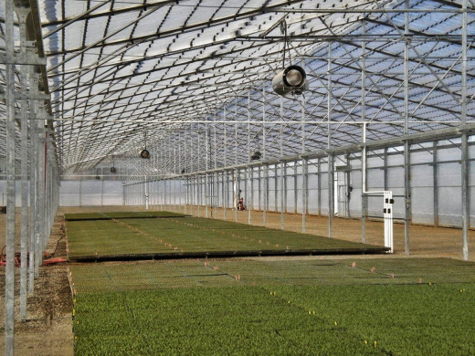 Тепловая пушка Biemmedue GA 100 C