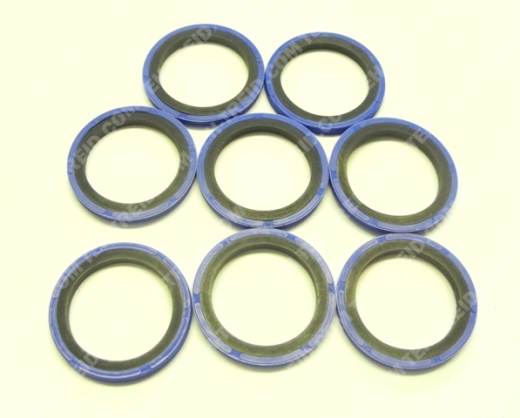 5000129269 Прокладка DPU37