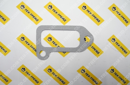 4420.020 Прокладка Lombardini