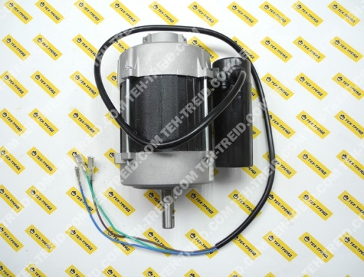 GA0033 Электродвигатель BHDP100 по 2017 год