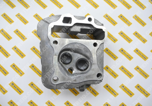 Головка блока цилиндра в сборе EX17 (277-10101-41)